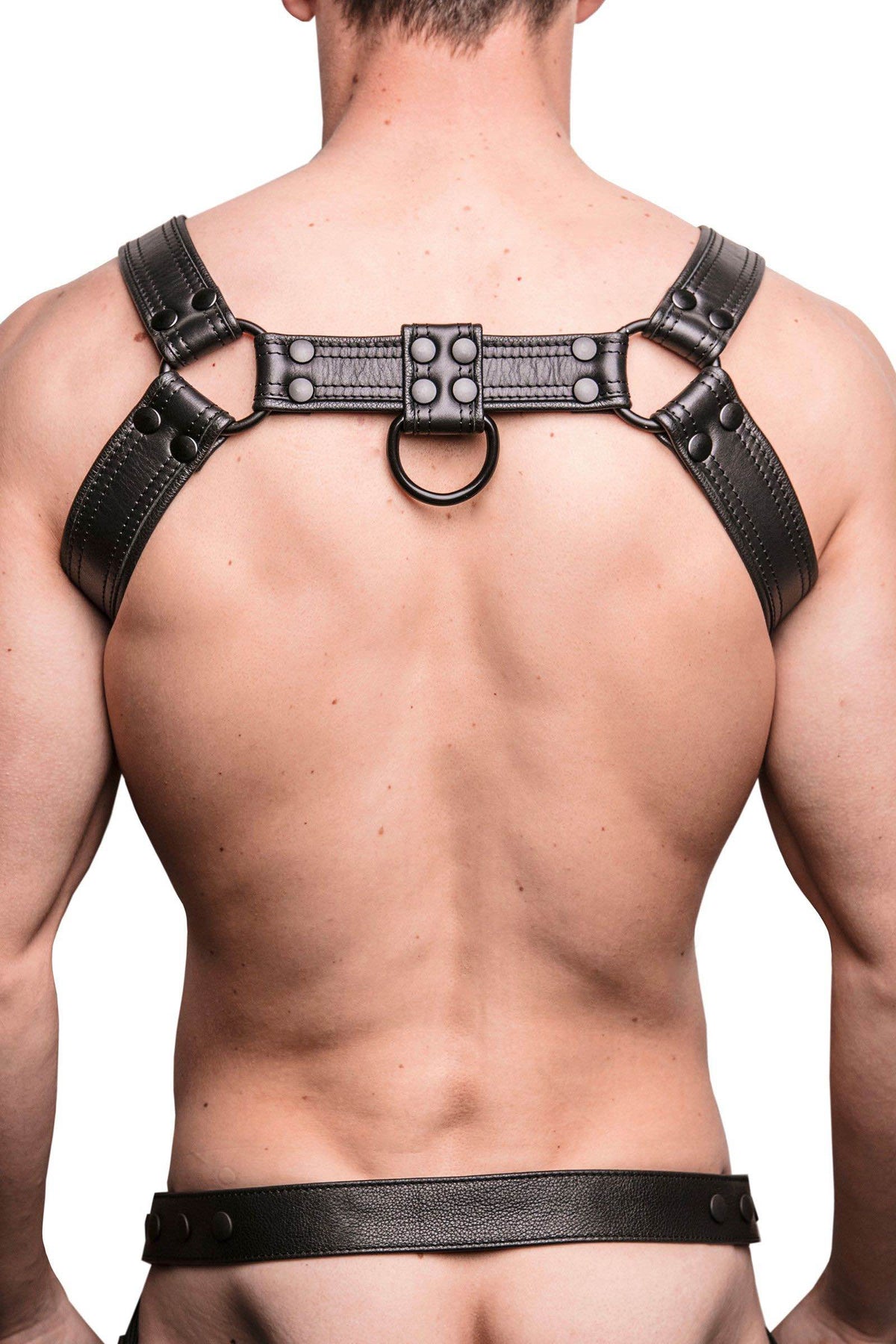 A chiselled model in a 1.5" wide ARMY OF MEN black leather bulldog harness with matte black hardware, back view.