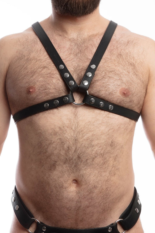 Model wearing a classic leather narrow x harness with stainless steel hardware. Front view.
