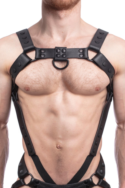 Model wearing a black leather bulldog harness and connector with black hardware. Connector attached to a cockring. Front.