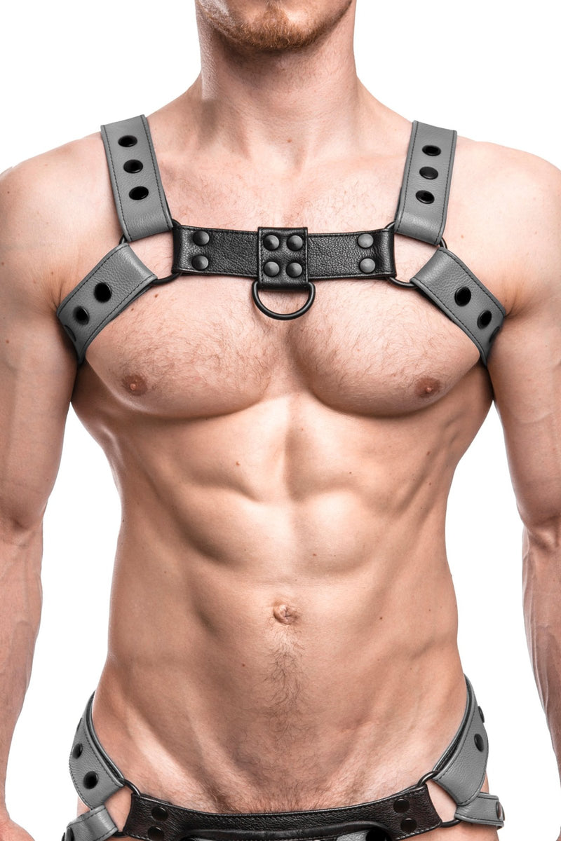 Model wearing a grey leather bulldog harness with black hardware. Front.