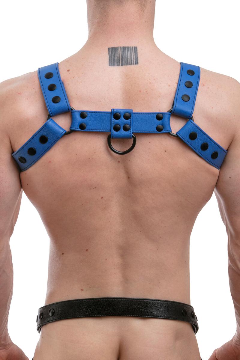 Model wearing full blue leather bulldog harness. Back