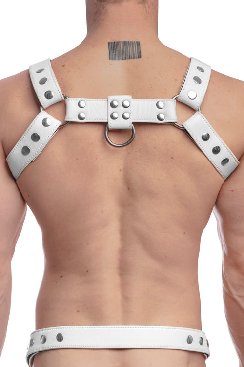 Model wearing a white leather bulldog harness with stainless steel hardware. Back view.