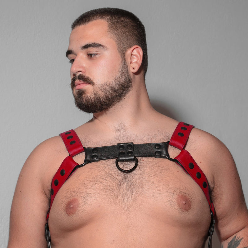 Black and red leather bulldog harness worn by male plus sized model