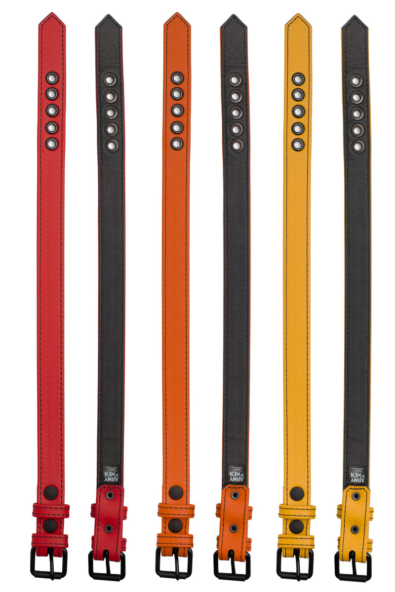 Product photo of three pairs of 1" wide coloured leather armband belts with matt black hardware. Front and back views.