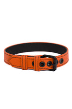 Product photo of a 1" wide orange leather armband belt with matt black hardware