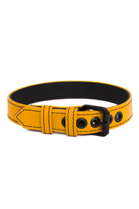 A 1" wide yellow leather buckled armband with matte black hardware, in a coil.