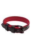 A 1" wide black and red leather buckled armband in a loop.