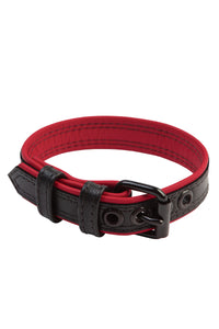 A 1" wide black and red leather buckled armband in a loop.