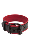 Coiled display of a COMBAT ARMBELT - Red with matte black hardware.