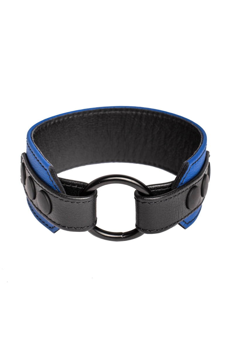 A 2" wide O-RING ARMBAND - Blue with matte black hardware standing in a ring shape.