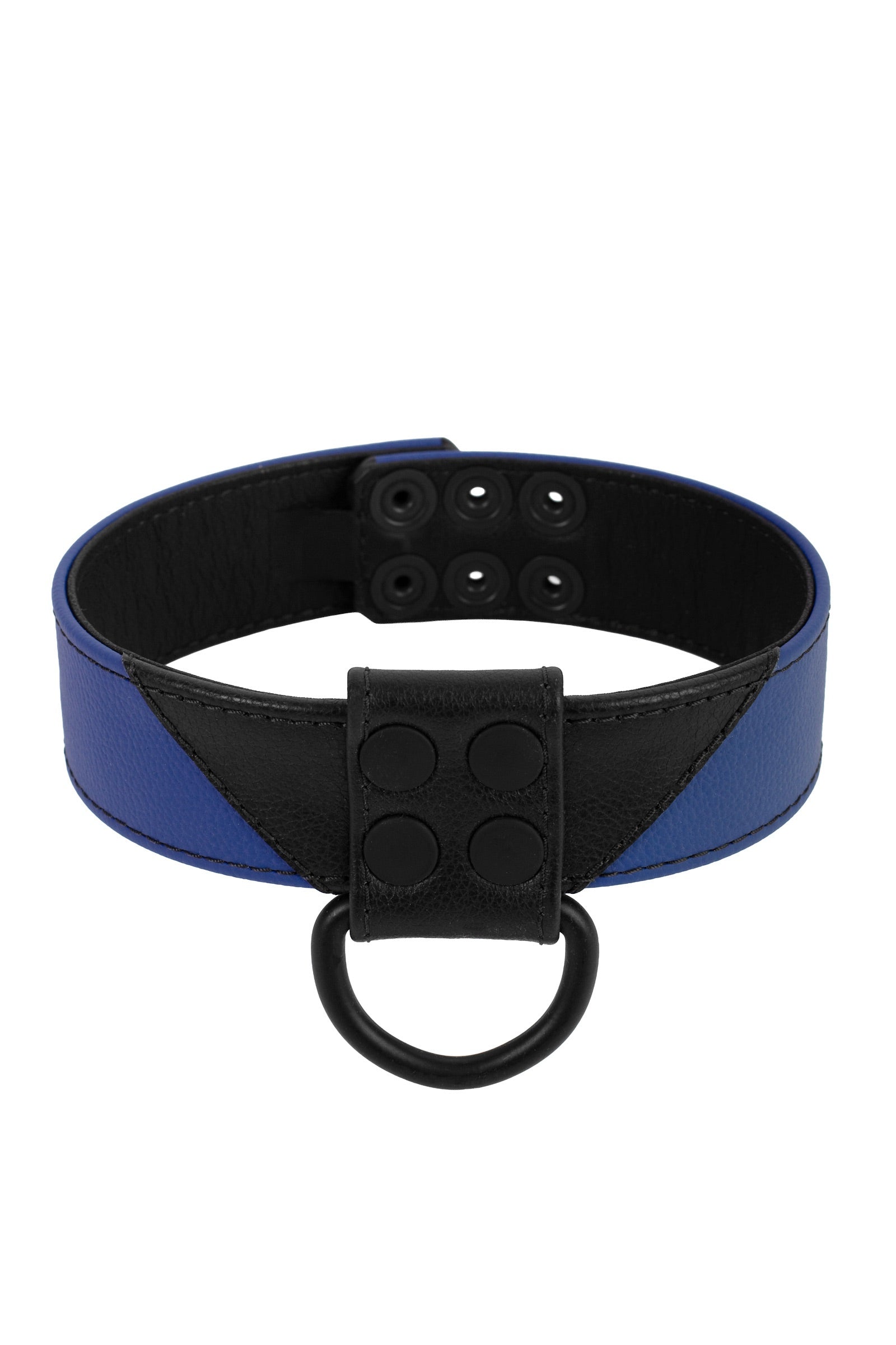 Australian-made 1.5" wide ARMY OF MEN black and blue leather collar, coiled with a matte black hardware.