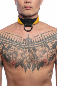 Front-on shot of toned model in a 1.5" wide ARMY OF MEN CHEVRON COLLAR - Yellow with matte black hardware.