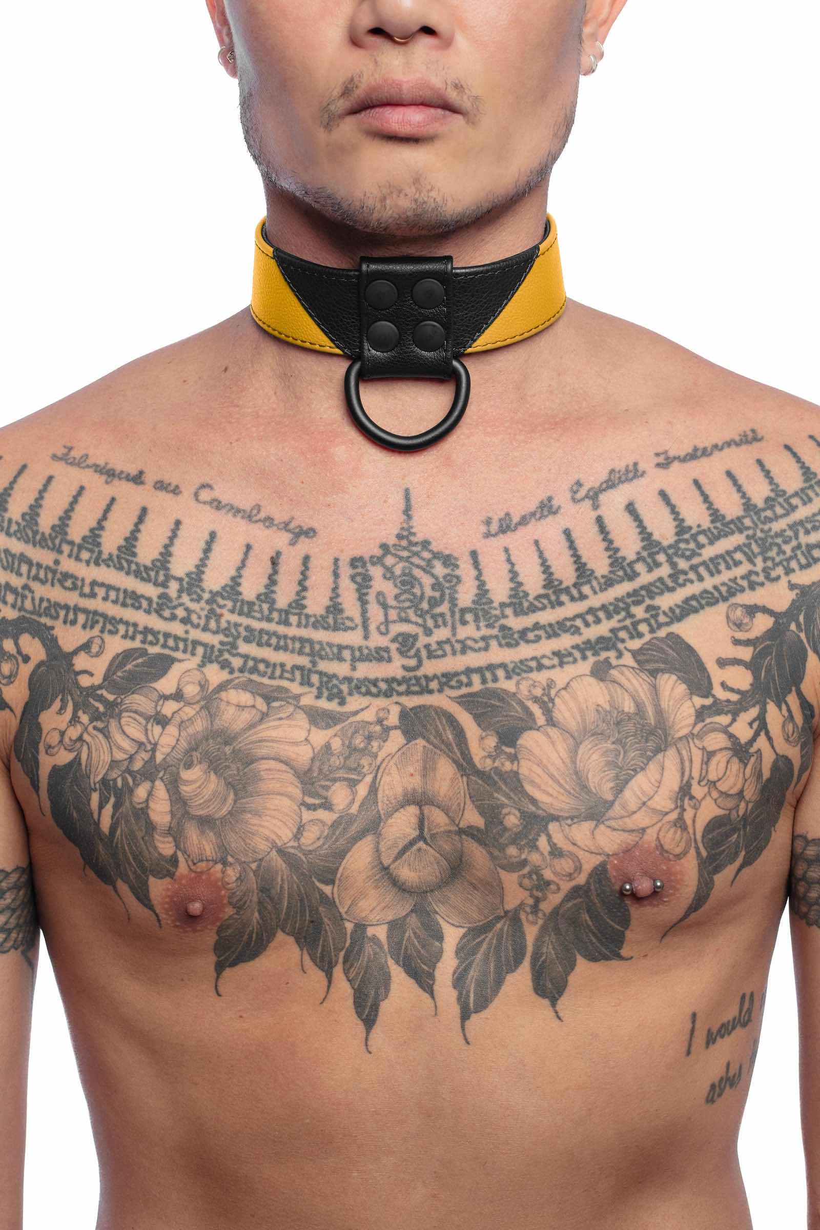 Front-on shot of toned model in a 1.5" wide ARMY OF MEN CHEVRON COLLAR - Yellow with matte black hardware.