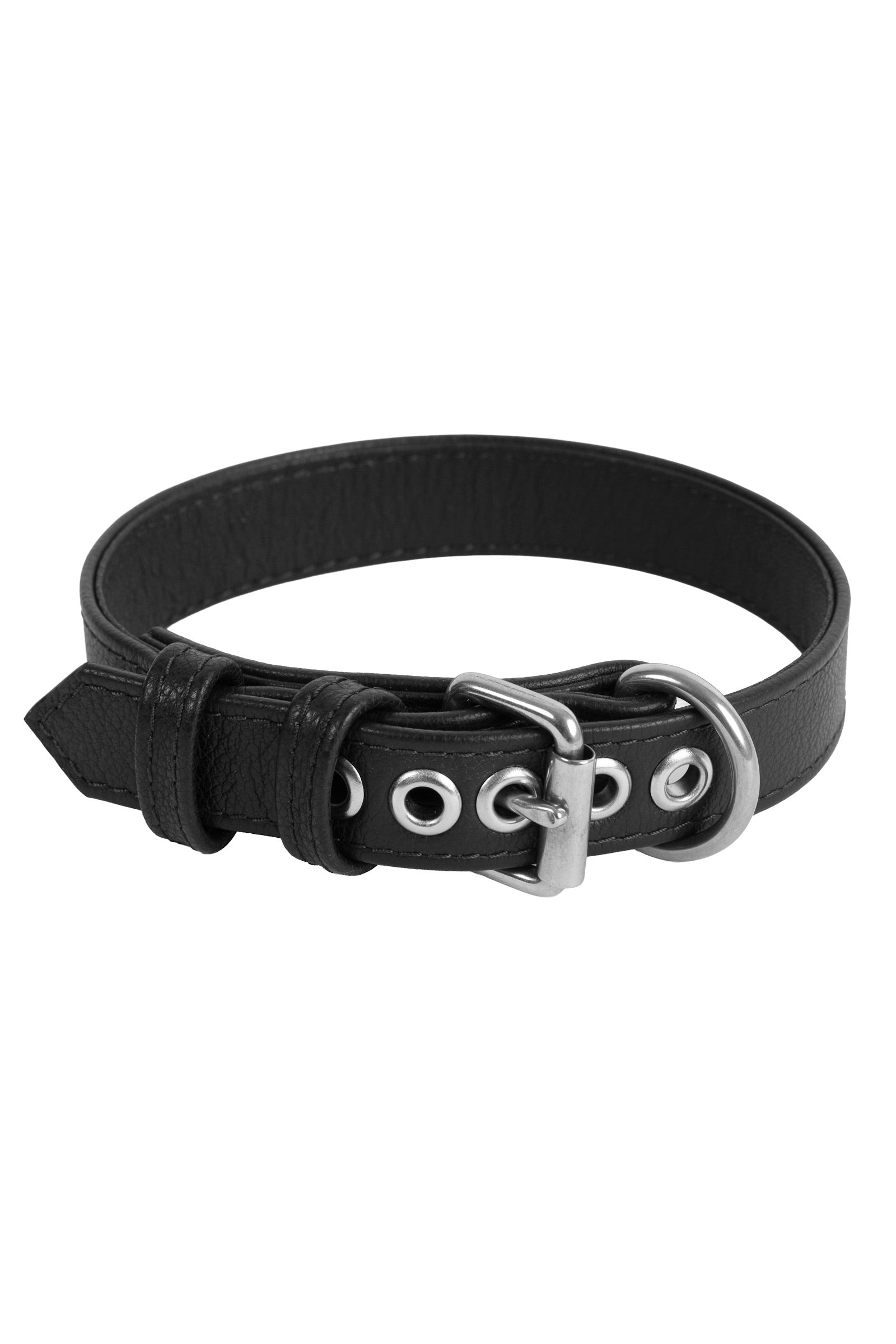 Coiled 1" wide ARMY OF MEN CLASSIC COLLAR NARROW - Stainless Steel with stainless steel rivets, buckle, and D-ring.