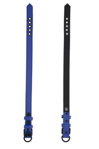 ARMY OF MEN 1" wide blue leather collars with black hardware, displayed flat showing both the front and lining.