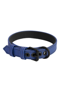 Coiled 1" wide ARMY OF MEN blue leather collar with matte black rivets, buckle, and D-ring.