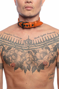 A 1" wide ARMY OF MEN CLASSIC COLLAR NARROW - Orange with matte black hardware, worn by an Asian model.