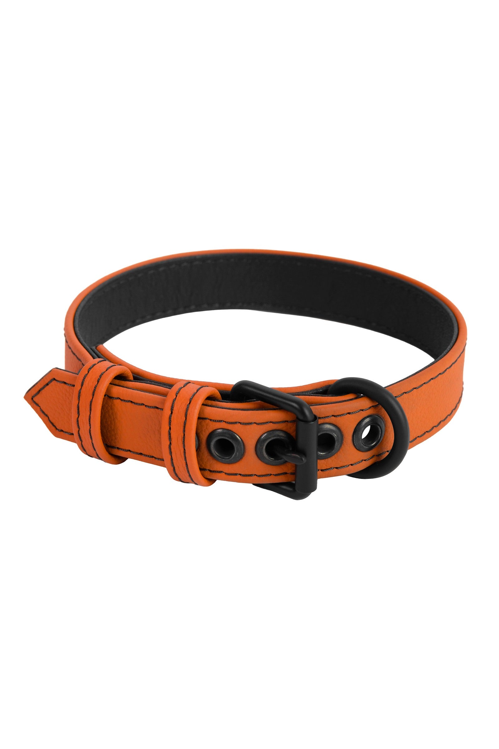 Coiled 1" wide ARMY OF MEN CLASSIC COLLAR NARROW - Orange with matte black rivets, buckle, and D-ring.