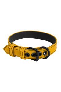ARMY OF MEN 1" wide yellow leather collar with matte black rivets, buckle, and D-ring, in a coil.