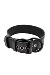 A 1.5" wide ARMY OF MEN CLASSIC COLLAR WIDE - Black, coiled to display matte black hardware.