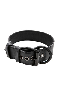A 1.5" wide ARMY OF MEN CLASSIC COLLAR WIDE - Black, coiled to display matte black hardware.