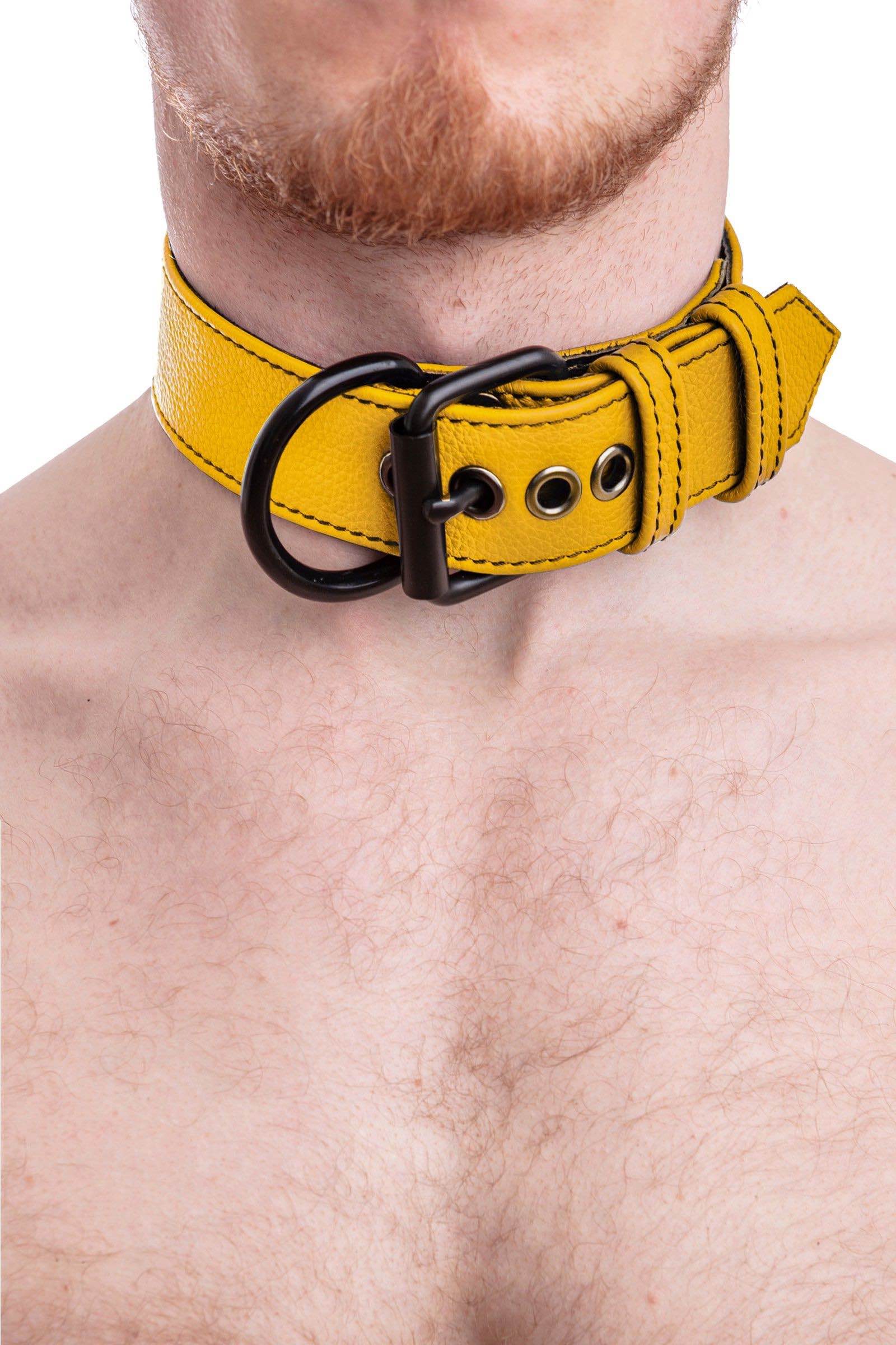 A bearded model in a 1.5" wide ARMY OF MEN CLASSIC COLLAR WIDE - Yellow with matte black buckle and D-ring, shown in detail.