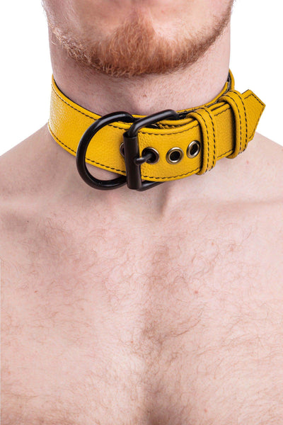 A bearded model in a 1.5" wide ARMY OF MEN CLASSIC COLLAR WIDE - Yellow with matte black buckle and D-ring, shown in detail.