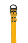 ARMY OF MEN 1.5" wide yellow leather collar with a matte black buckle and D-ring, laid flat and captured from above.