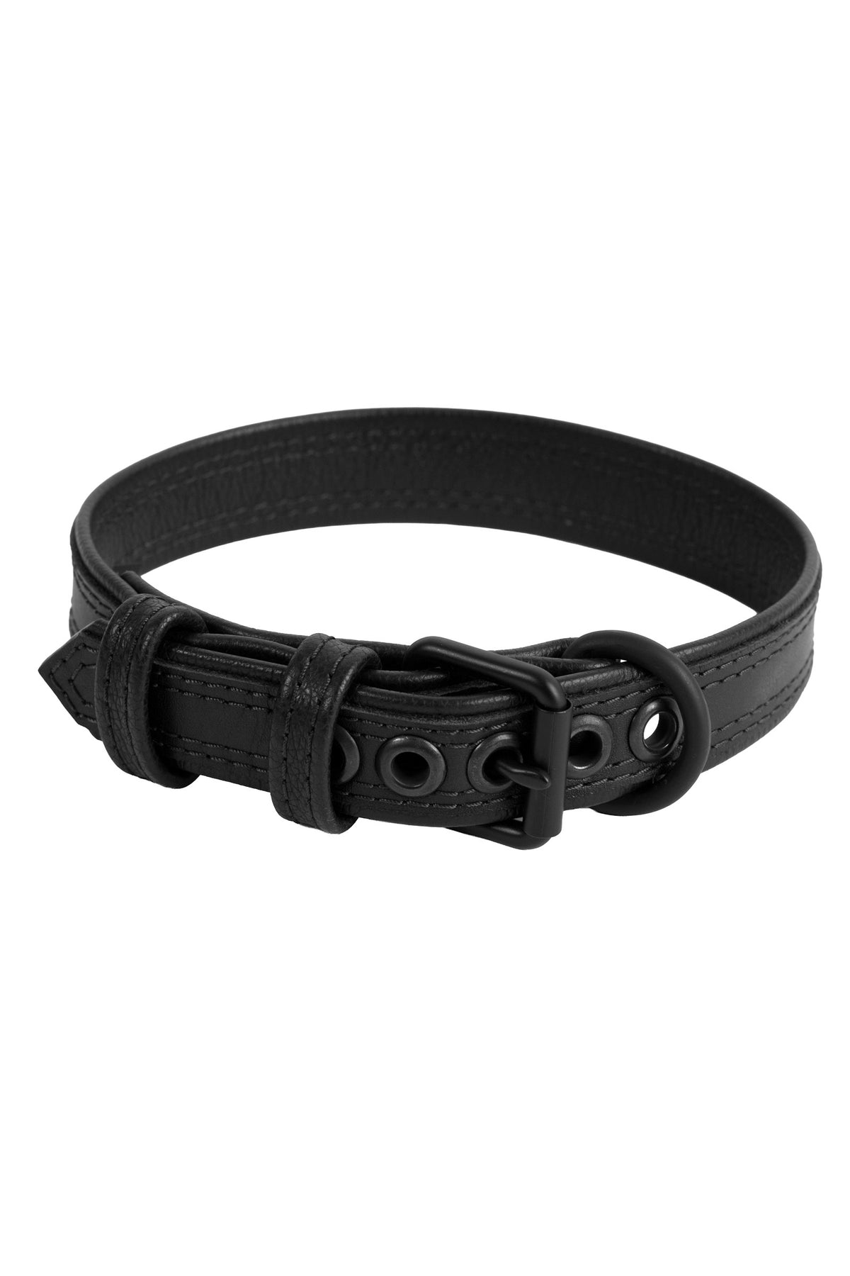 ARMY OF MEN 1" wide COMBAT COLLAR NARROW - Black with matte black buckle and D-ring, in a coil.