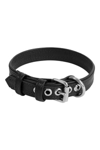 Coiled 1" wide ARMY OF MEN COMBAT COLLAR NARROW with stainless steel rivets, buckle, and D-ring.