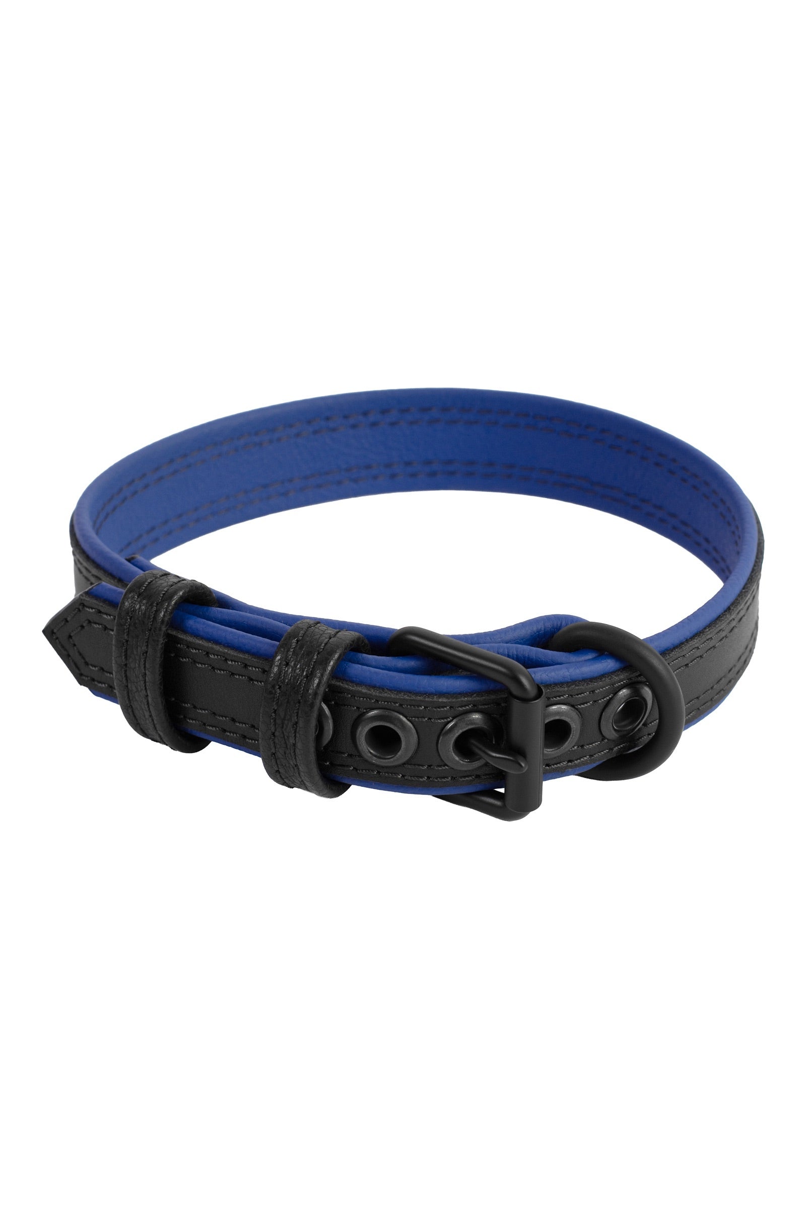 Australian-made 1" wide ARMY OF MEN black and blue leather collar, coiled with a matte black buckle.