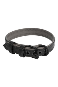 ARMY OF MEN 1" wide COMBAT COLLAR NARROW - Grey with a matte black buckle and D-ring, in a coil.