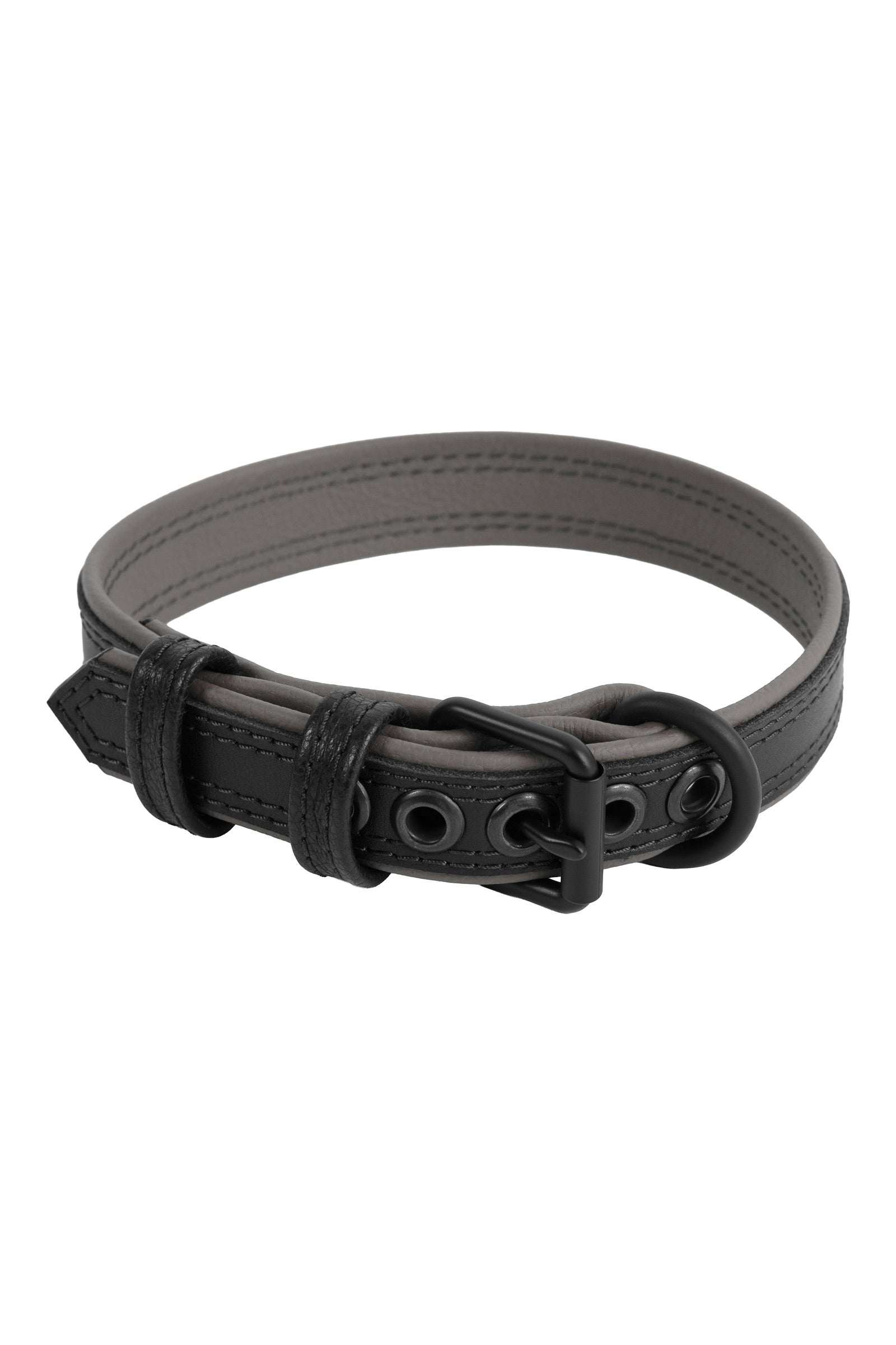 ARMY OF MEN 1" wide COMBAT COLLAR NARROW - Grey with a matte black buckle and D-ring, in a coil.