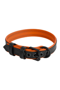 A 1" wide ARMY OF MEN COMBAT COLLAR NARROW - Orange, coiled to display matte black buckle and D-ring.