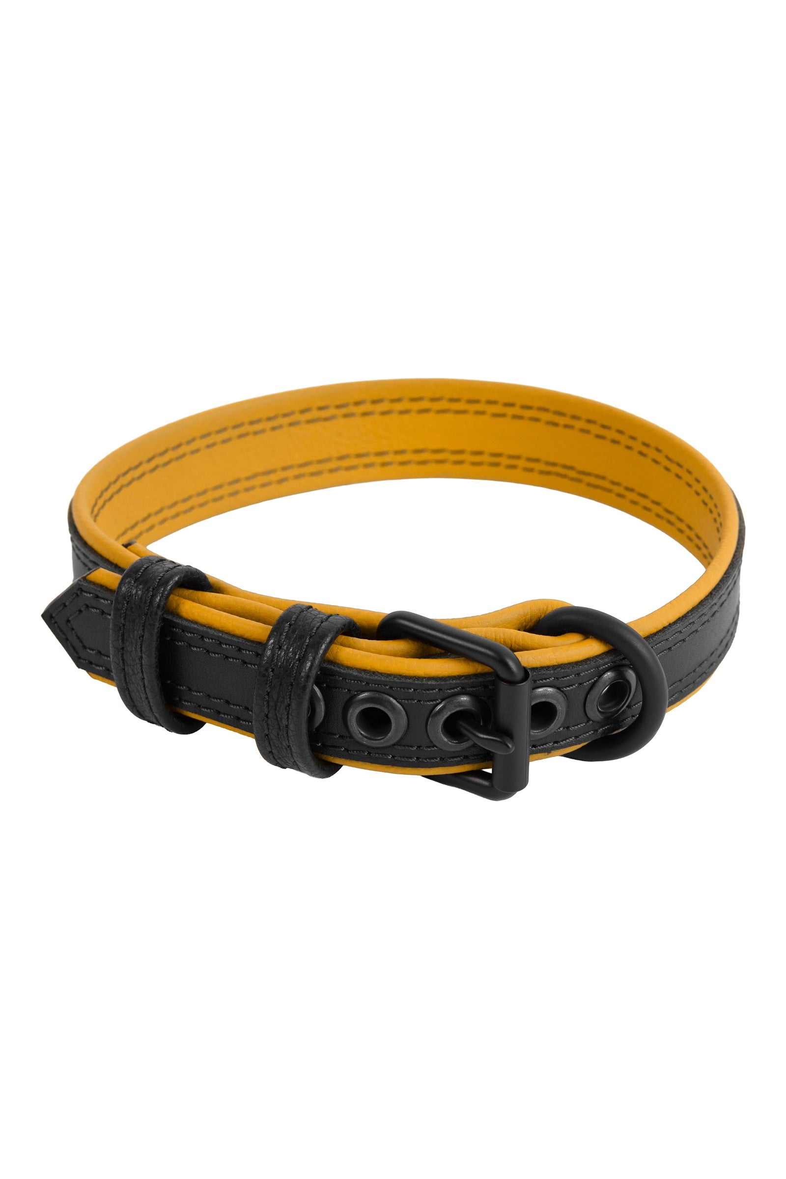 ARMY OF MEN 1" wide black and yellow leather collar with a matte black buckle and D-ring, in a coil.