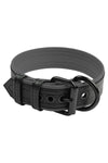 ARMY OF MEN 1.5" wide COMBAT COLLAR WIDE - Grey with a matte black buckle and D-ring, in a coil.