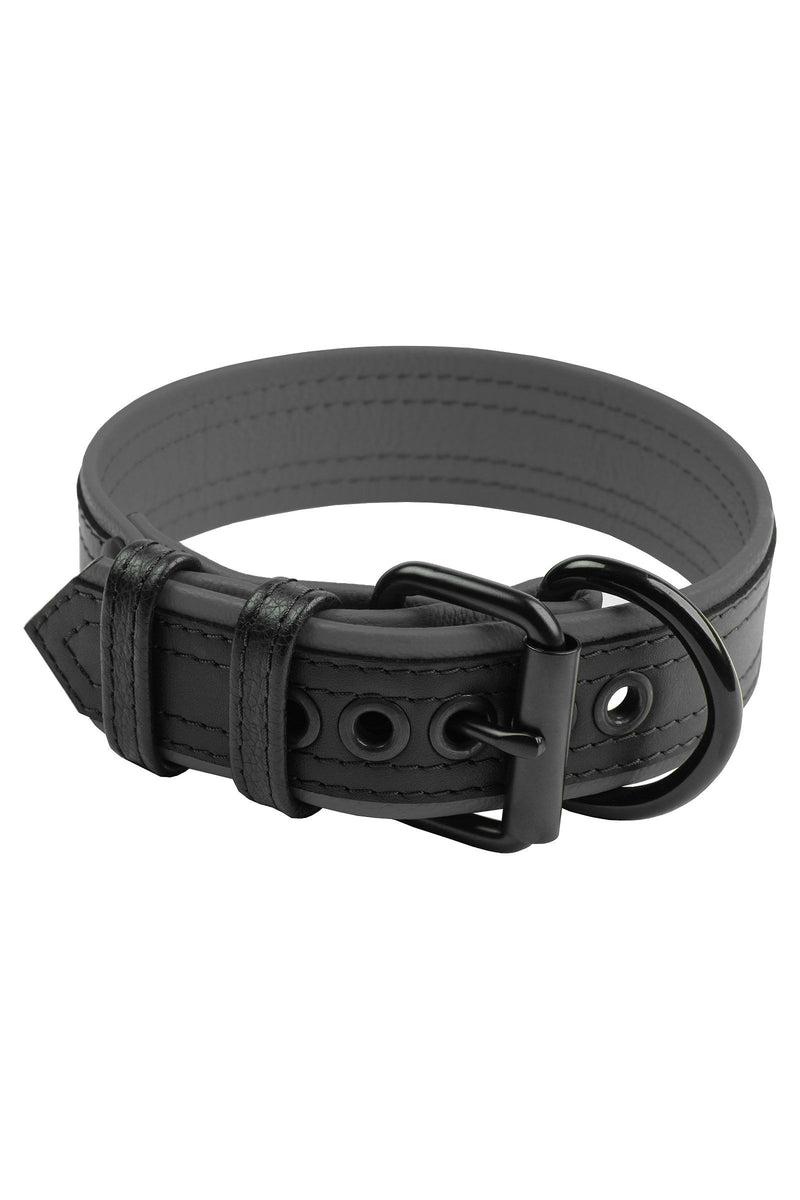 ARMY OF MEN 1.5" wide COMBAT COLLAR WIDE - Grey with a matte black buckle and D-ring, in a coil.
