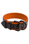 A 1.5" wide ARMY OF MEN COMBAT COLLAR WIDE - Orange, coiled to display matte black buckle and D-ring.