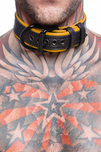 Detailed view of striking model in a 1.5" wide ARMY OF MEN COMBAT COLLAR WIDE - Yellow with matte black hardware.