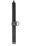 ARMY OF MEN 1.5" wide D-RING COLLAR - Stainless Steel with stainless steel hardware, laid flat and captured from above.