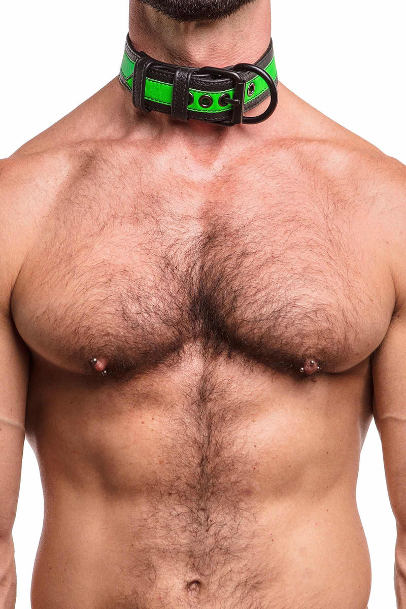 A 1.5" wide ARMY OF MEN FLURO STRIPE COLLAR - Fluro Green with matte black rivets, buckle, and D-ring, worn by a fit model.