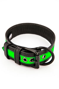 Coiled 1.5" wide ARMY OF MEN FLURO STRIPE COLLAR - Fluro Green with matte black rivets, buckle, and D-ring.