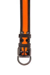 ARMY OF MEN 1.5" wide FLURO STRIPE COLLAR - Fluro Orange with matte black hardware, laid flat and captured from above.