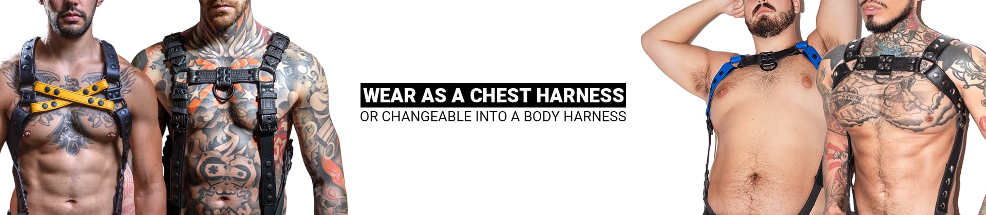 Full-body banner image containing model pictures and text explaining that products can be worn as a chest harness or can be changeable into a body harness.