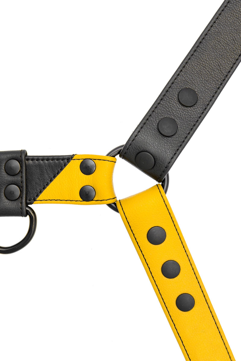 ARMY OF MEN 1.5" wide CHEVRON BULLDOG - Yellow with matte black hardware, laid flat and captured from above.
