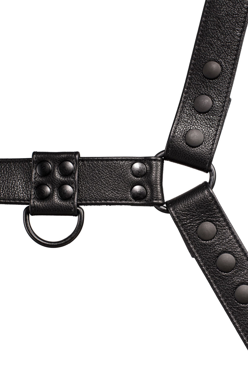 ARMY OF MEN CLASSIC BULLDOG - Black with matte black rivets, snaps, O-rings, and D-rings, laid flat and viewed from above.