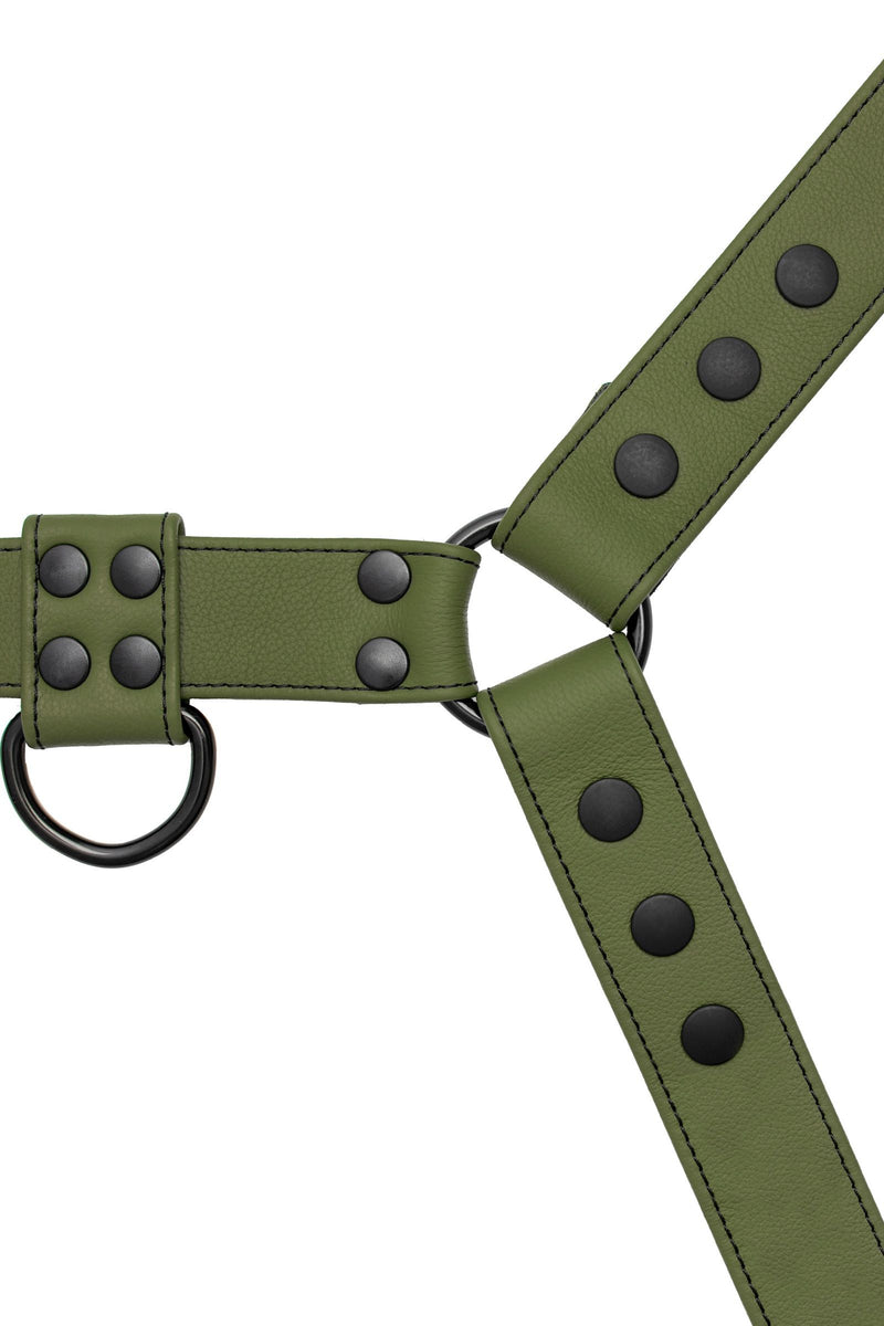 A 1.5" wide ARMY OF MEN CLASSIC BULLDOG FULL COLOUR - Army Green with matte black O-rings, laid flat and viewed from above.