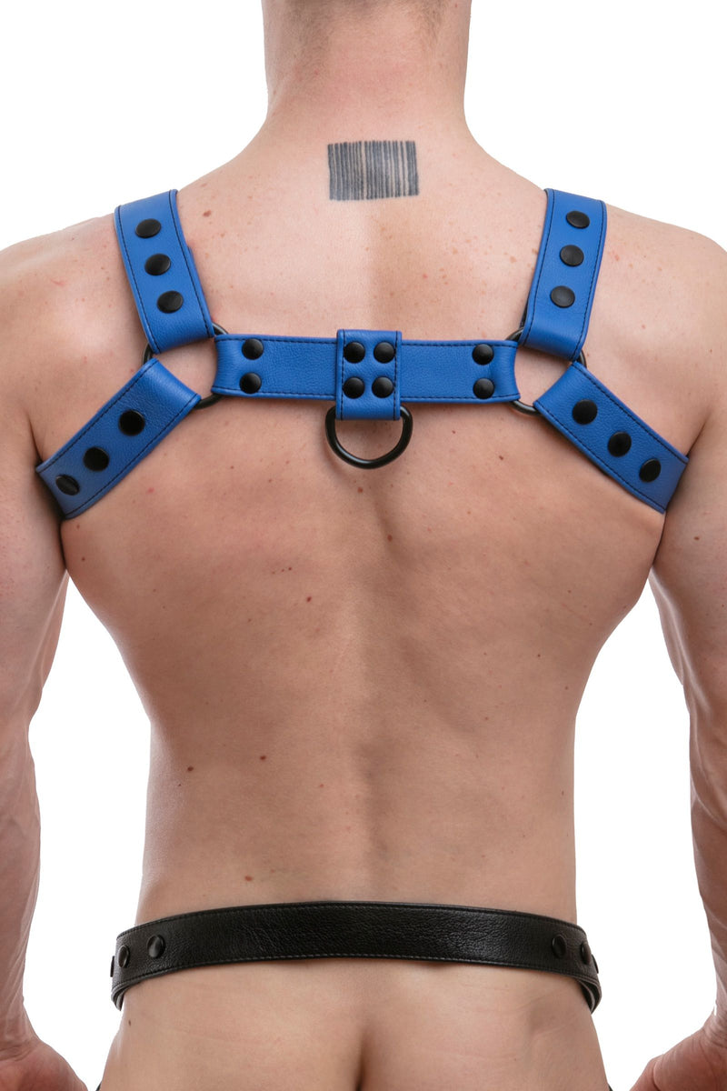 Back shot of male model wearing a 1.5" wide ARMY OF MEN blue leather chest harness with matte black hardware.