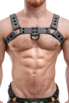 A 1.5" wide ARMY OF MEN grey leather Classic Bulldog harness with matte black hardware, worn by a muscular model.