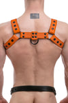 A ginger haired model turned away wearing a 1.5" wide ARMY OF MEN orange leather chest harness with matte black hardware.